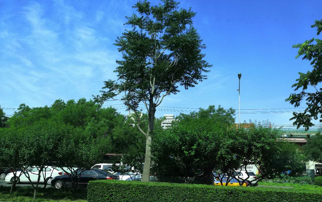 考研学校推荐（考研择校要）