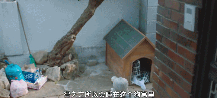 恕我直言，内娱就缺这样的疯批美人