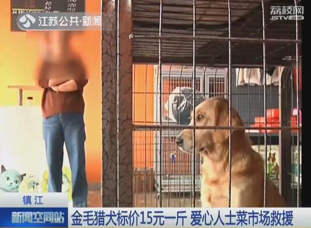 金毛猎犬标价15元一斤菜市场当“肉狗”卖 好心人花750元买下