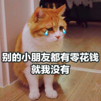表情包：日常吸貓（awsl）