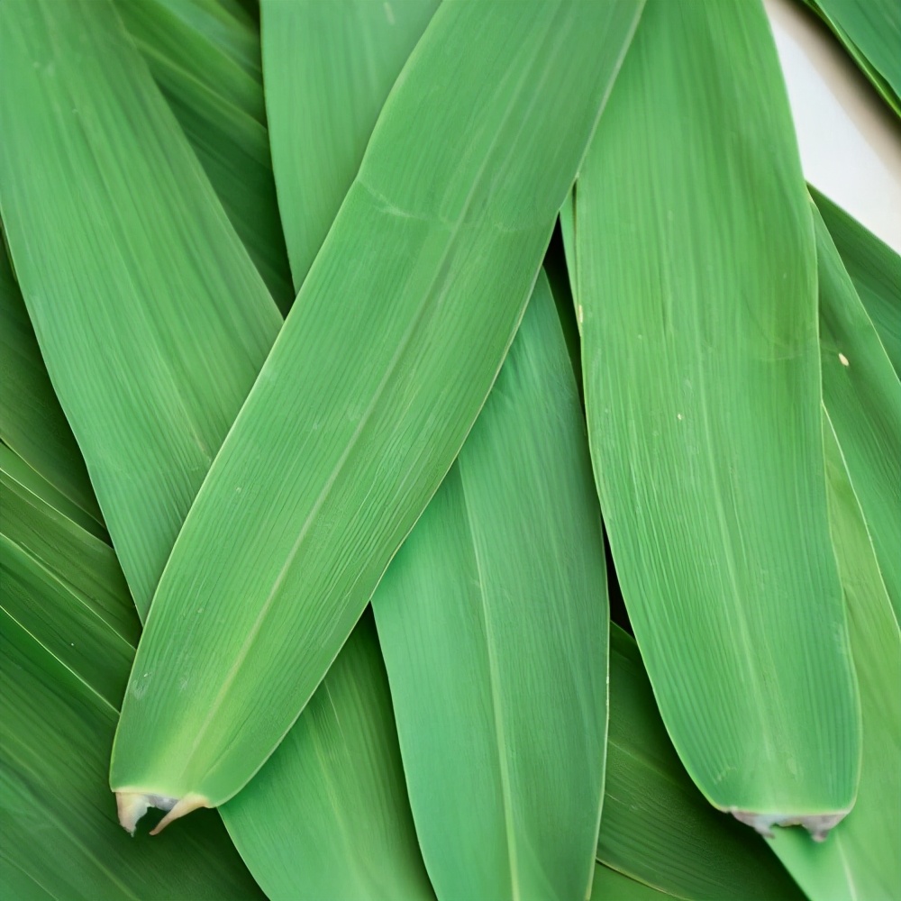 粽子叶除了包粽子还能做什么(端午佳节至,吃剩的粽子叶这样用,鲤鱼