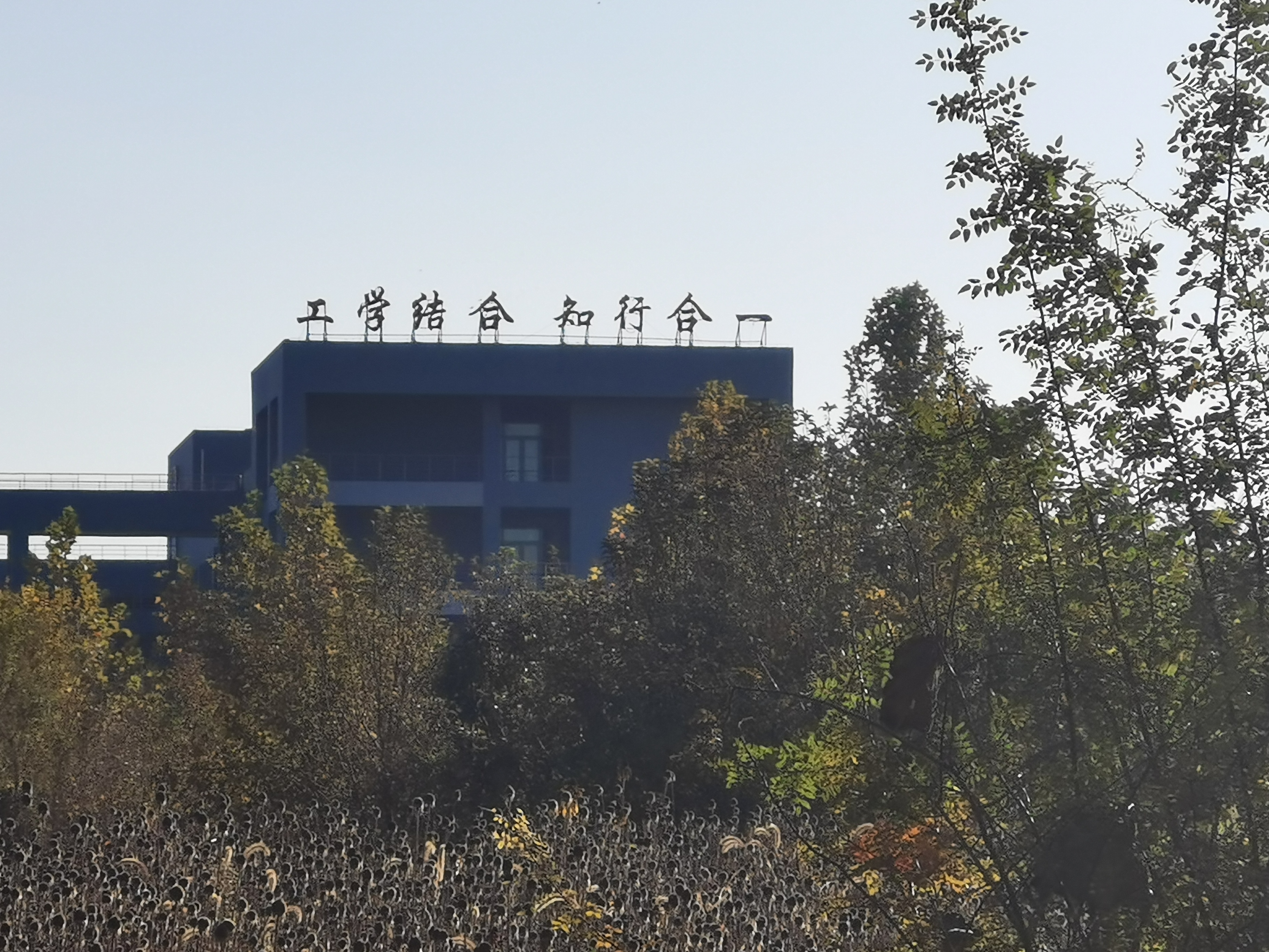 初冬的唐山职业技术学院兴盛可期