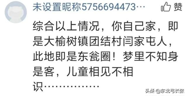 公主岭市张氏家族字辈查询与寻根研究