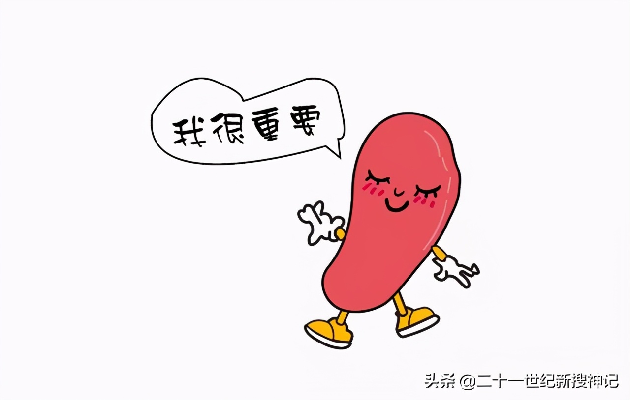 肚脐以下叫什么部位，肚脐以下的部分叫什么