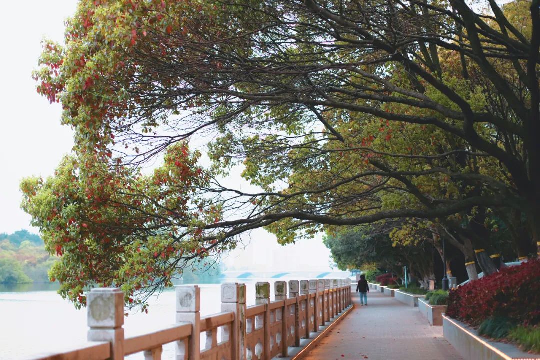 媲美扬州，但更实惠、更接地气！3天2晚泰州度假之旅怎么玩？