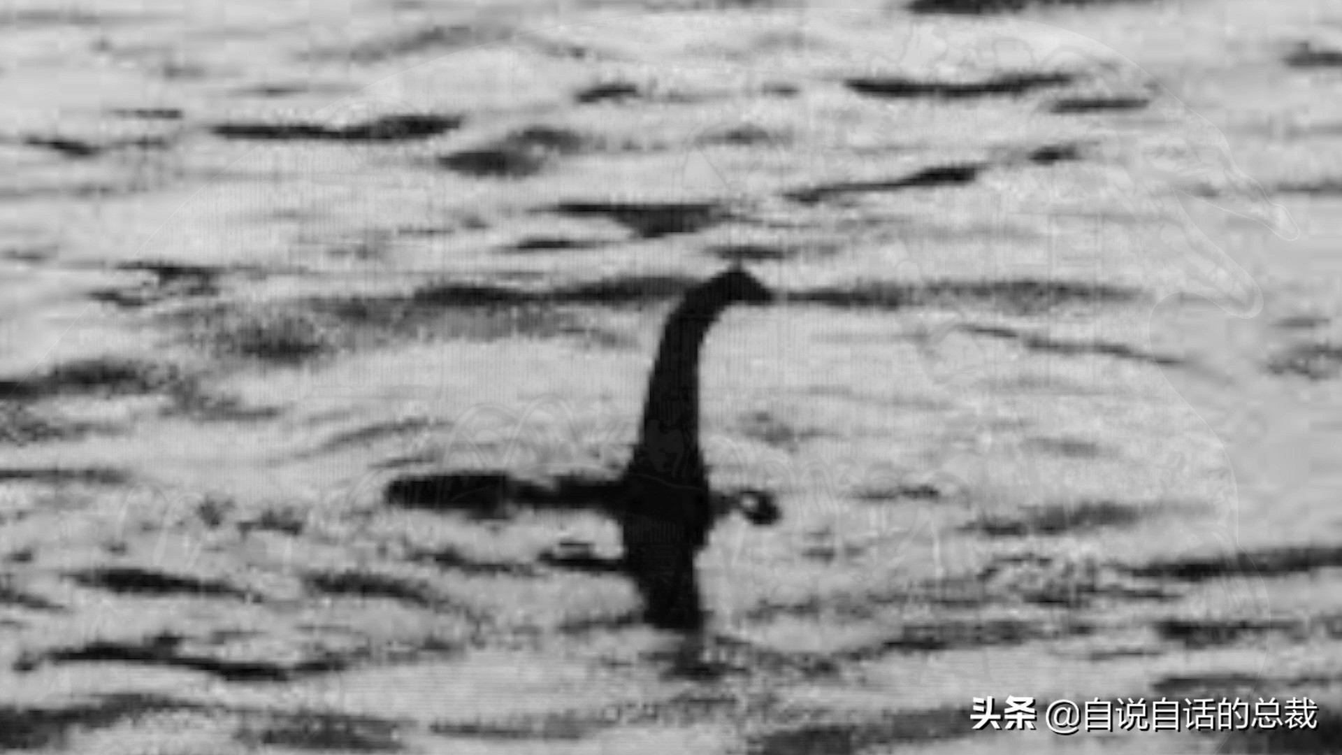 5种比巨齿鲨还恐怖的海怪，背后隐藏着一个人类起源的故事