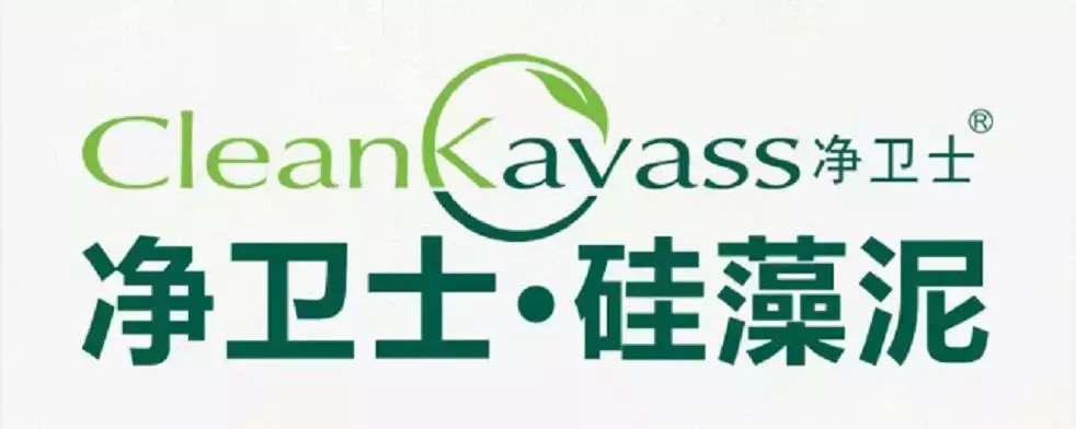 兰舍、大津、泥博士、绿森林、蒙太奇等硅藻泥Top10品牌发展论纲