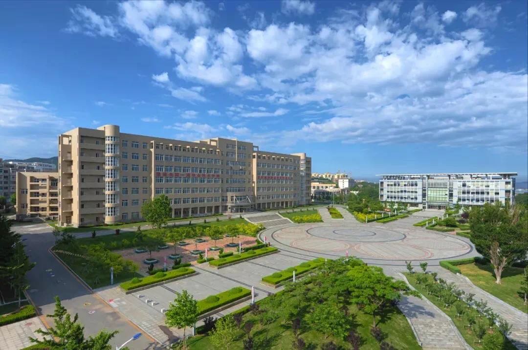 大连大学职业技术学院,大连大学职业技术学院是公办的吗-爱妻自媒体