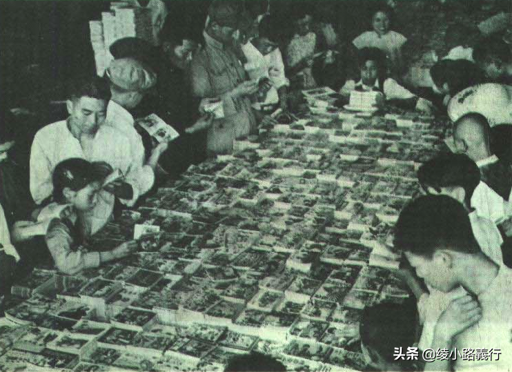 与手冢齐名的女漫画家、70年代日本漫画三巨作与新中国动漫的发展