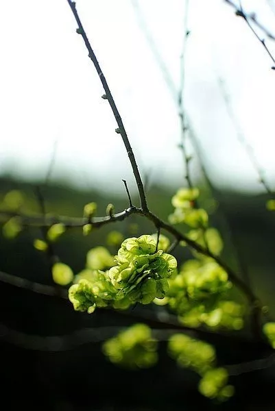 北京这个学校很“火”！坐拥3大花园、果园、动物园，集美貌与知识于一体！