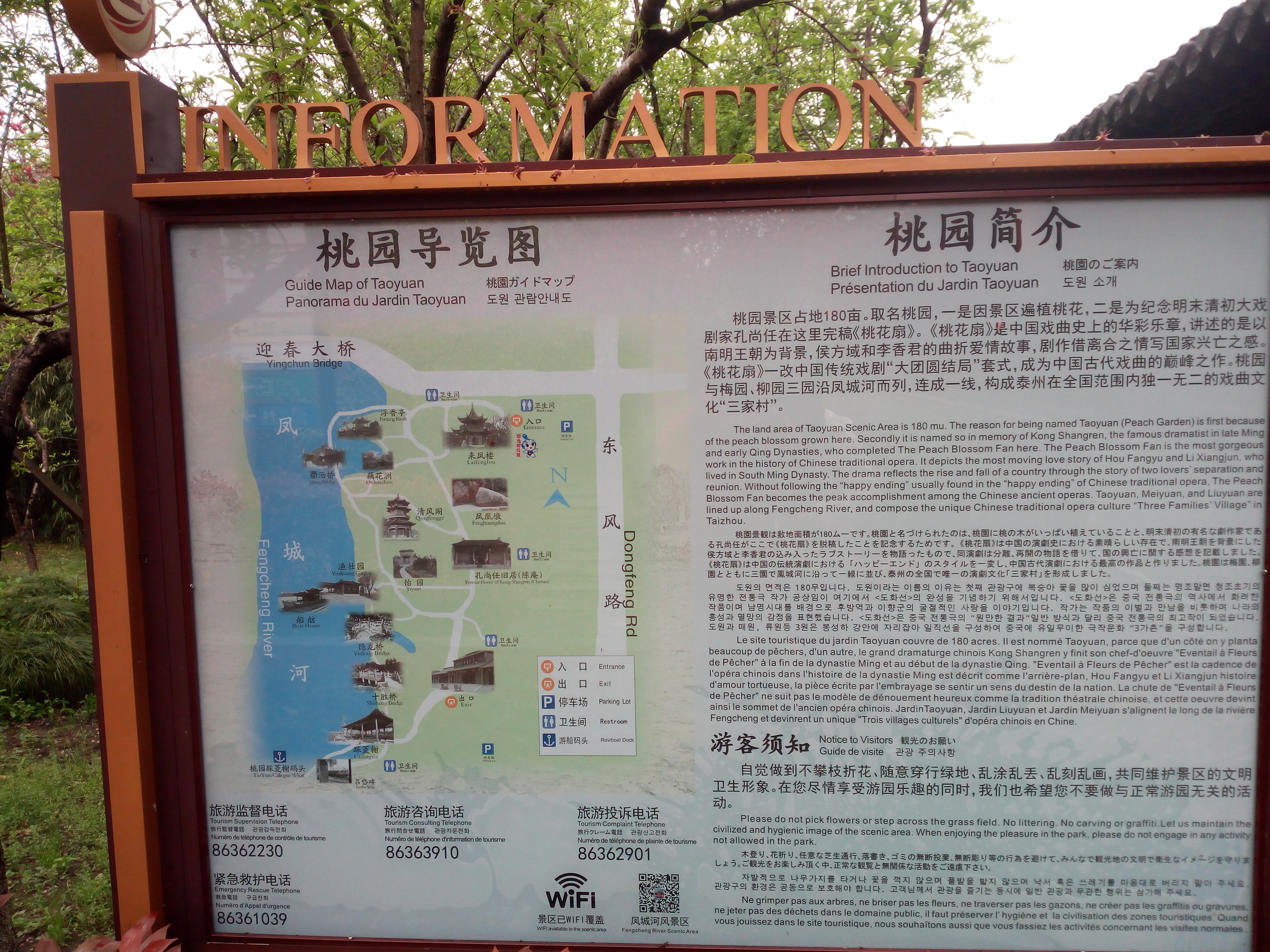 「花未眠61江苏的花」—桃花坞里桃花庵:泰州桃园