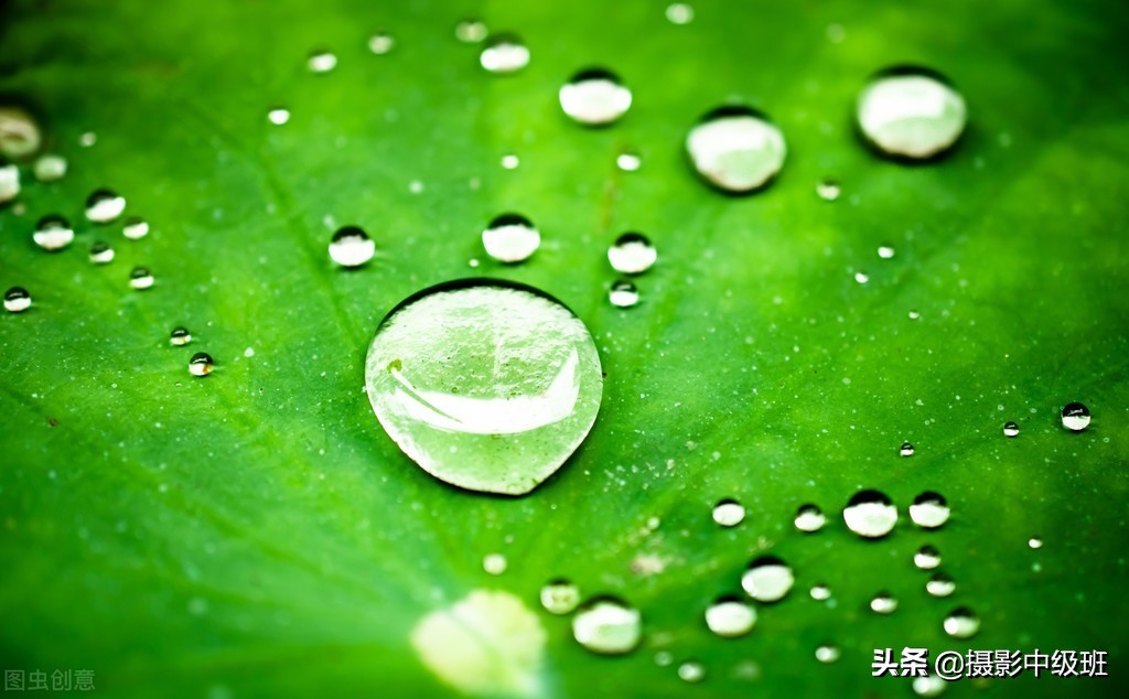 10大攝影構(gòu)圖手法，10個(gè)攝影技巧，拍好照片的殺手锏