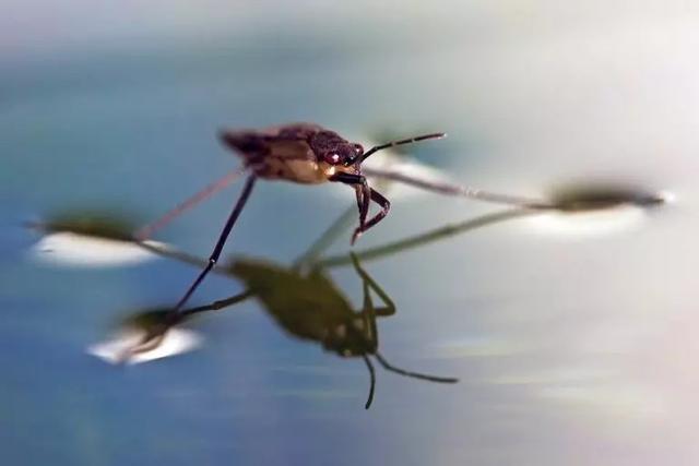 人类与“永动机”的千年恩怨（二）：存在“额外”的能量吗？