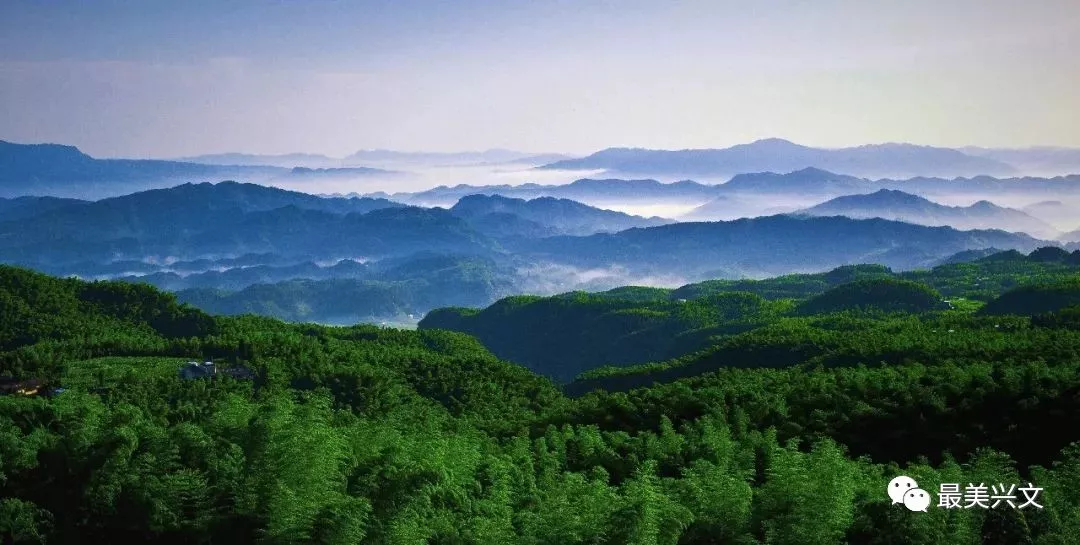创建天府旅游名县 | 万顷竹波、山峦重叠，这就是僰王山！