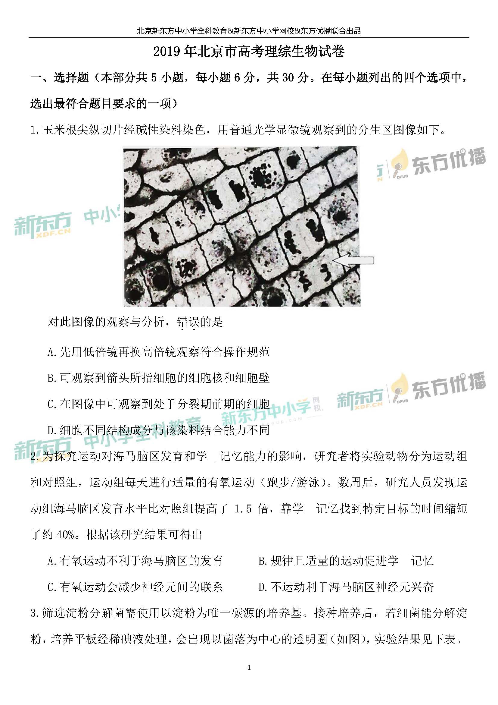 对答案！「2019高考」北京卷生物