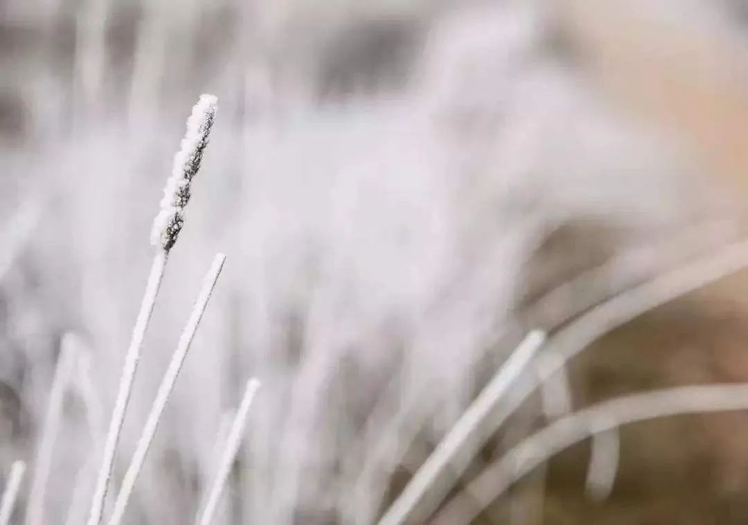 「诗词鉴赏」十首大雪的诗句，在大雪节气里品读诗词