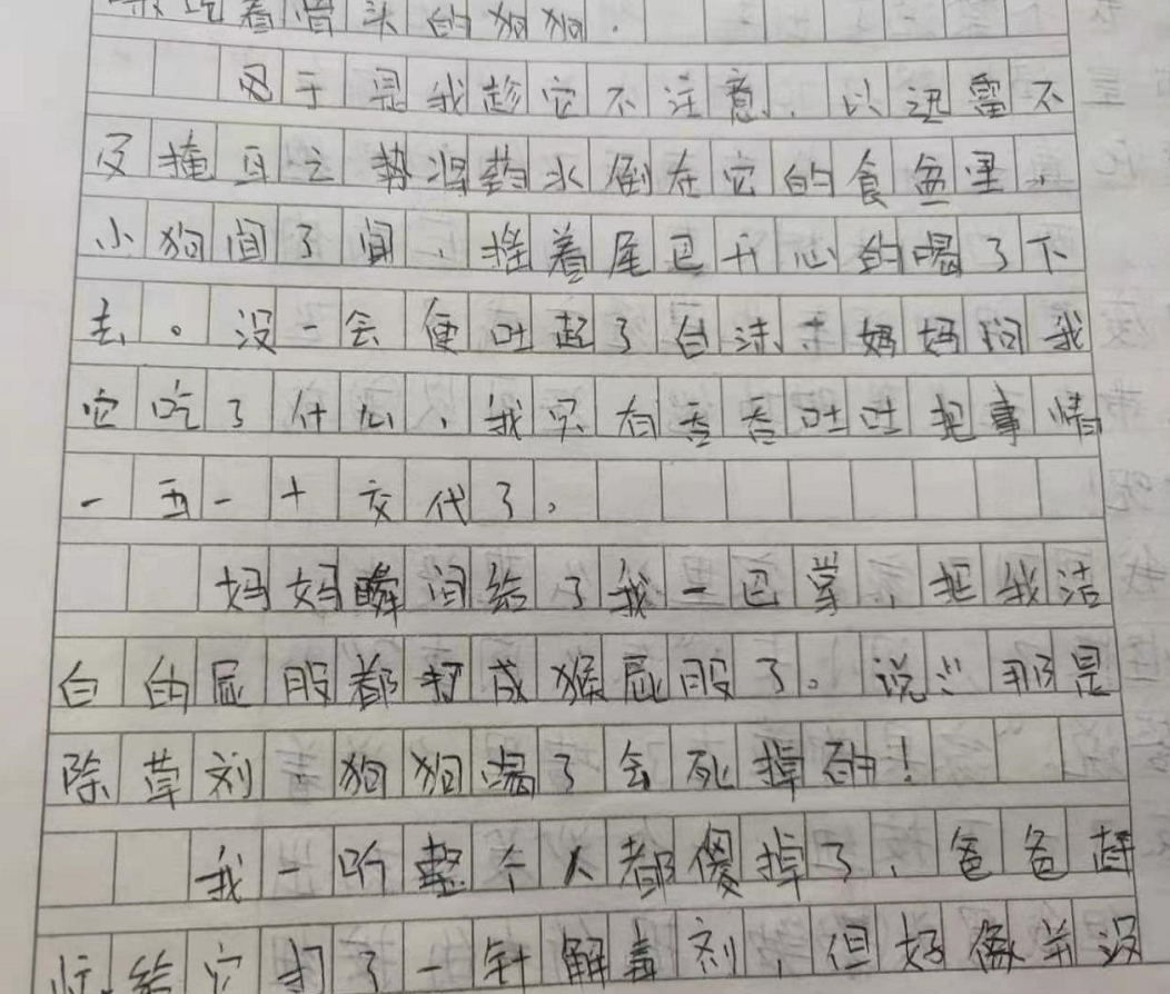 小學生作文《我咋那麼傻》走紅,滿滿的辛酸,老師看後流下了眼淚