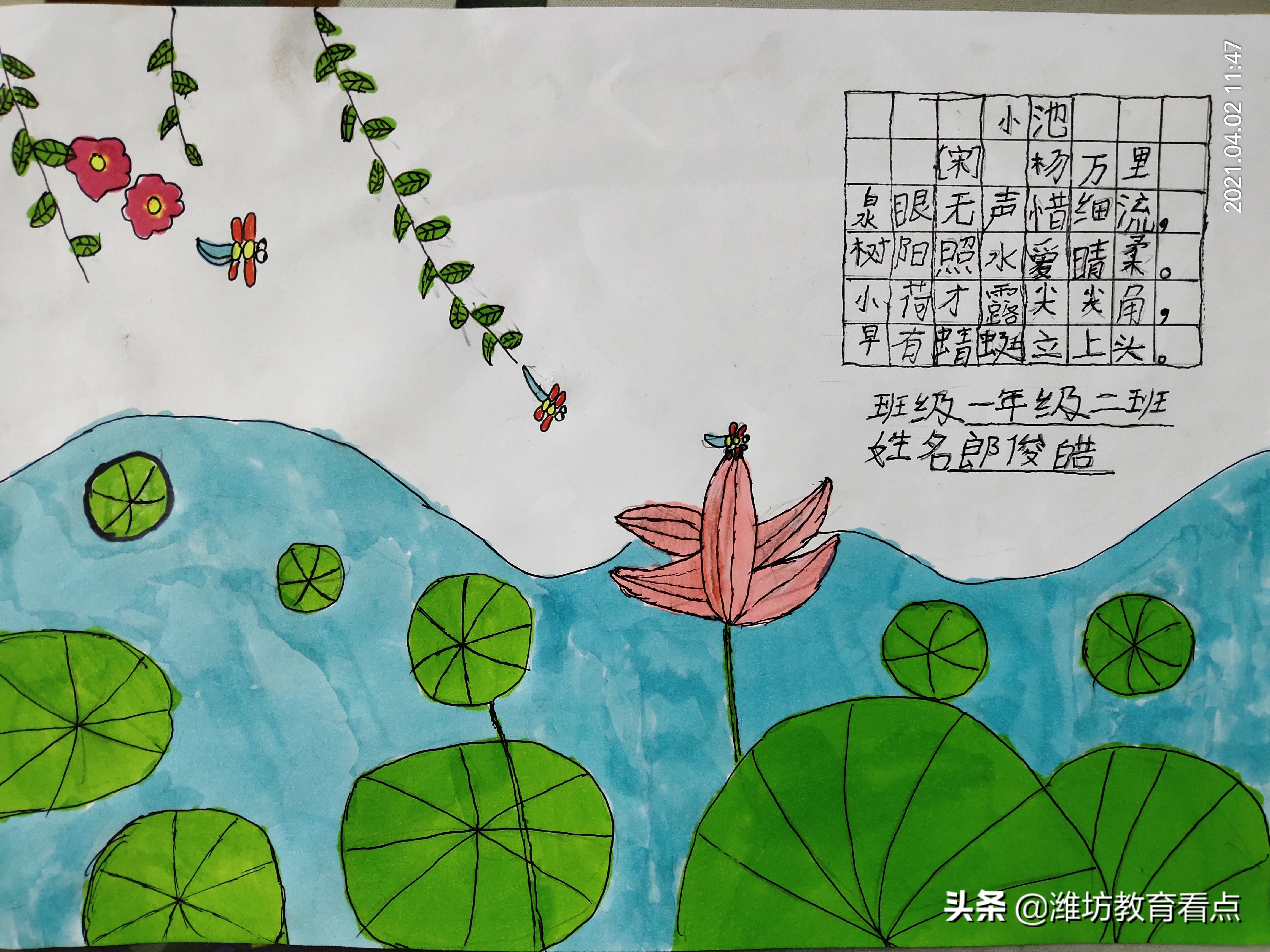 古诗配画「宋」杨万里《小池》:小荷才露尖尖角,早有蜻蜓立上头