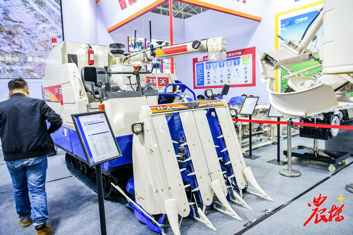 國際農(nóng)機展半喂入和小型水稻收割機