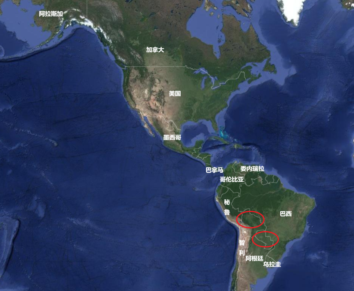 玻利维亚和巴拉圭(玻利维亚和巴拉圭，美洲唯二两个内陆国，被谁“夺”走了出海口？)