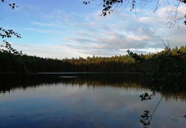 「我在芬兰」第20集-Elvi-全额奖学金！在阿尔托大学的留学生活