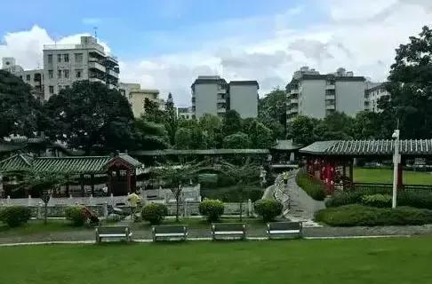 整整122个，深圳免费景点汇总来啦！去过一半以上算你是旅游达人