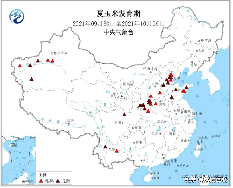 最新玉米、猪价预警：猪价涨疯了，一天涨1块！玉米行情已更新