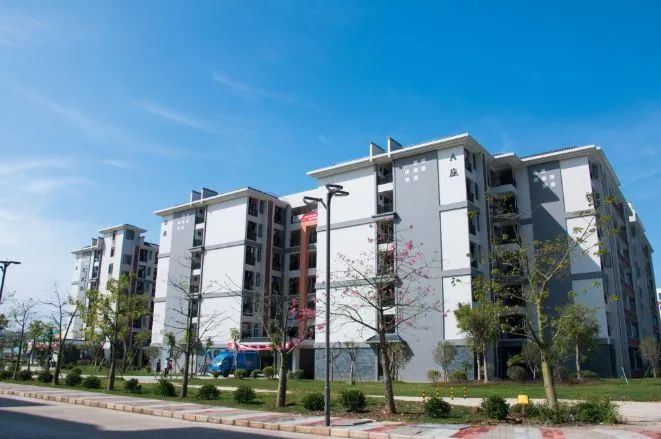 高职高考必看｜全面了解广东岭南职业技术学院