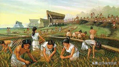 南稻北粟：中国农业起源