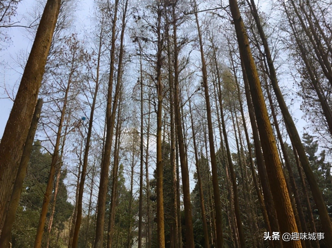 盘点福建10大最适合中老年人旅游的地方，趁端午小长假带长辈走走