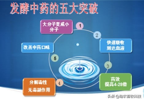 防非洲猪瘟采用自制发酵中药比购买药商中药效果更好且成本降9成