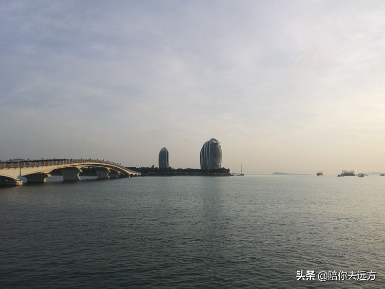 西沙~南海中的一片莲
