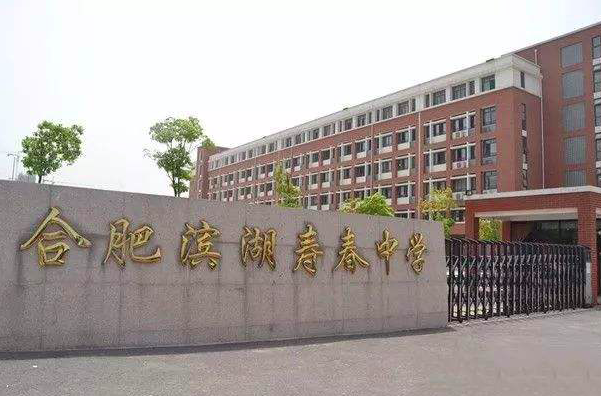 合肥南国寿春、滨湖寿春、包河大地等民办校2020招生说明