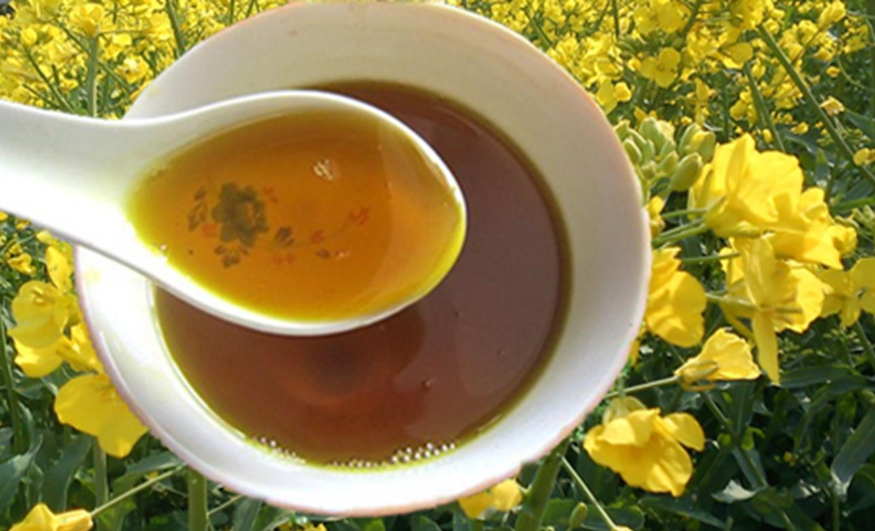 买食用油，不是越贵越好，这5种油，用对吃法才更健康