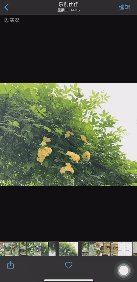 11个iPhone隐藏技能，用完仿佛打开了新世界，你不知道实在太可惜