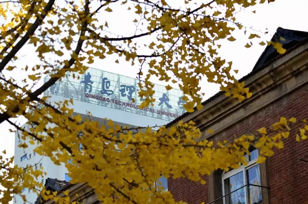 开学了，去青岛最美大学去逛一逛吧，个个堪比5A级景区