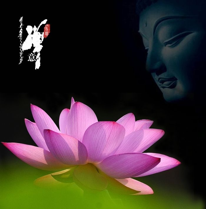 不负光阴不负卿