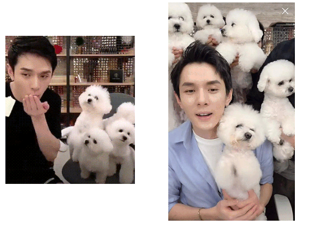 跟着李佳琦买买买，真的会翻车吗？