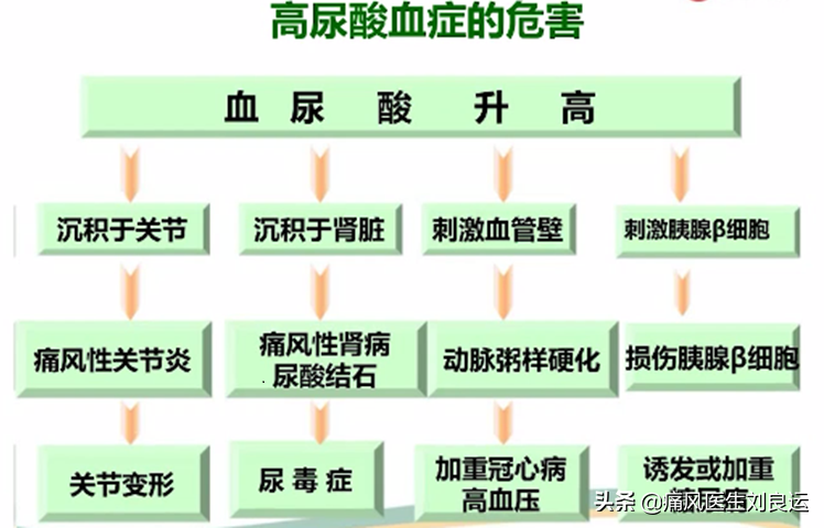 体检尿酸高不一定痛风发作，但你仍需了解血尿酸高的原因和危害