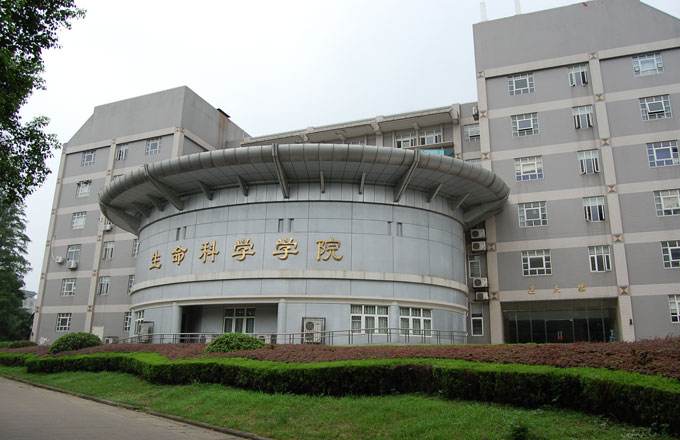 武汉建工与武汉大学共同谱写校企合作新篇章