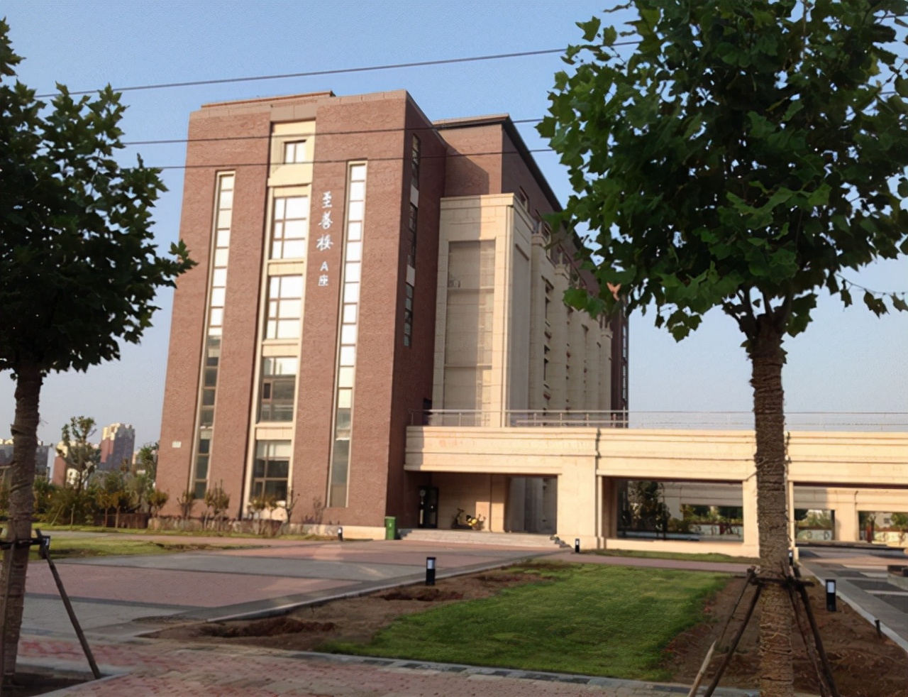 山西医科大学通知，部分专业要求过6级，网友表示哪来的自信？