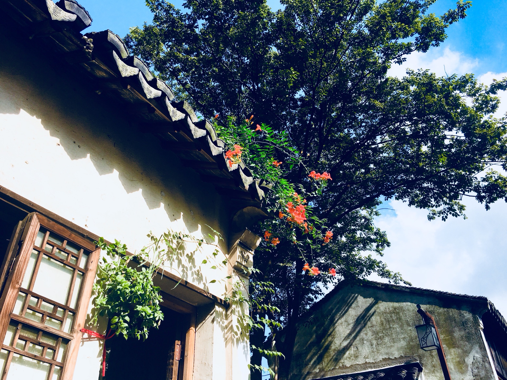 中国十大古镇：江南水乡的千年韵味与文化传承