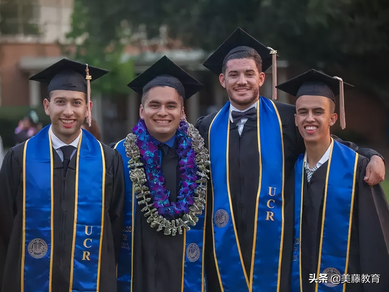 《商业内幕》公布：2020年被严重低估的50所学校，值得考虑