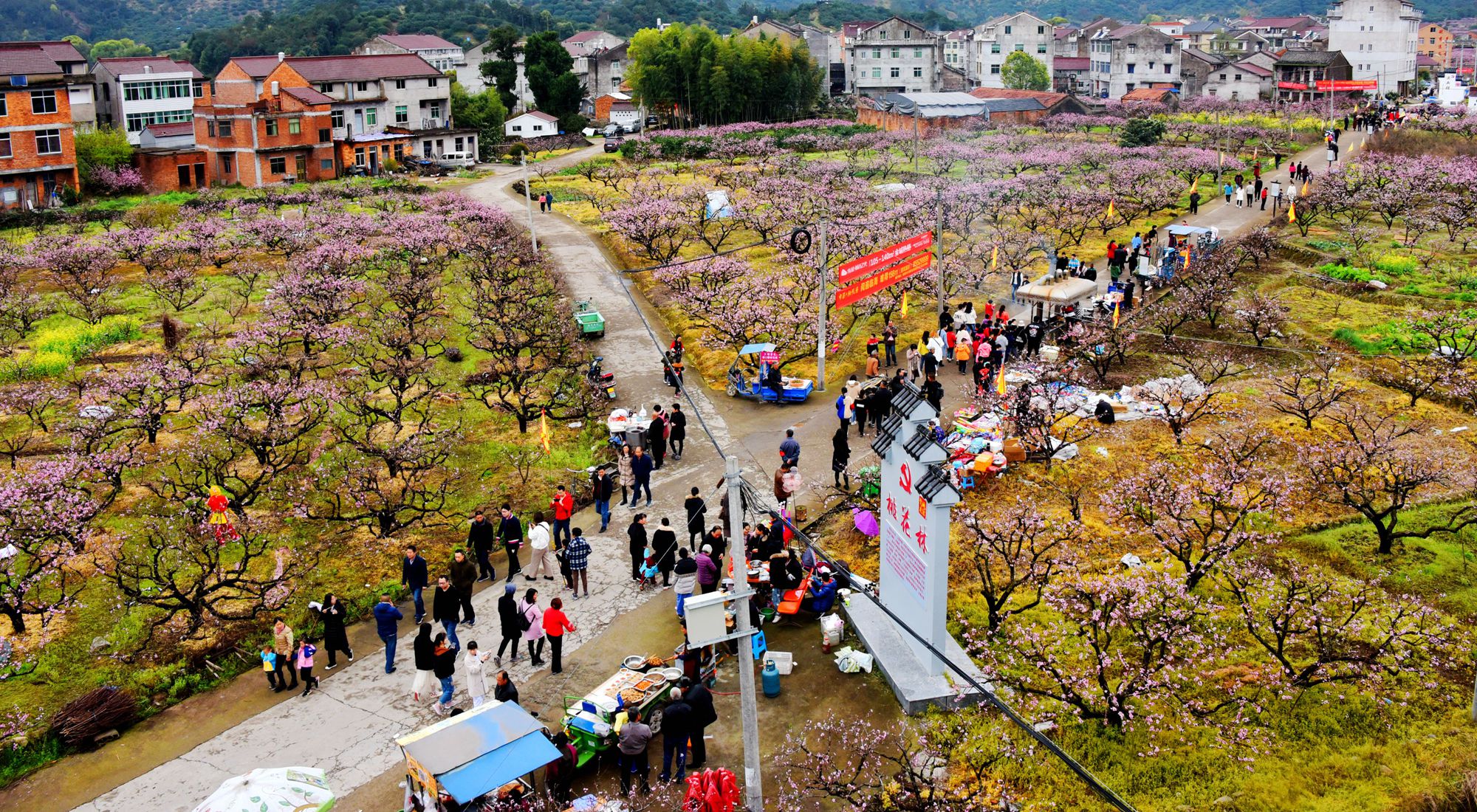 2019年3月23日,游客在临海市白水洋镇桃花源景区参观.