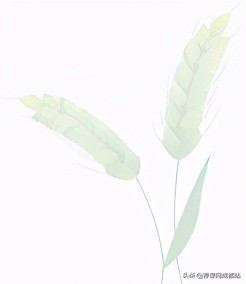 “直升”才是王炸！成都新进一贯制学校概览