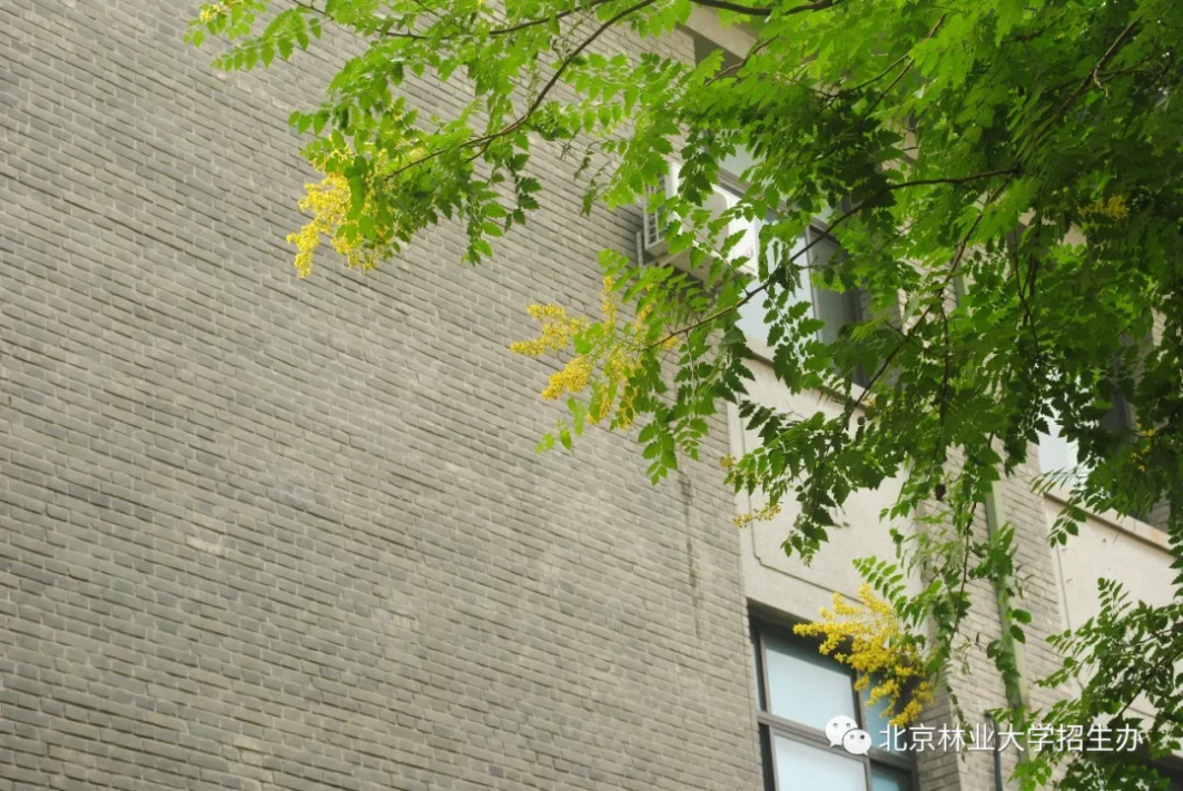 北京“绿色学府”：占地13176亩，坐拥8大餐厅，新华社、中央电视台聚焦关注！