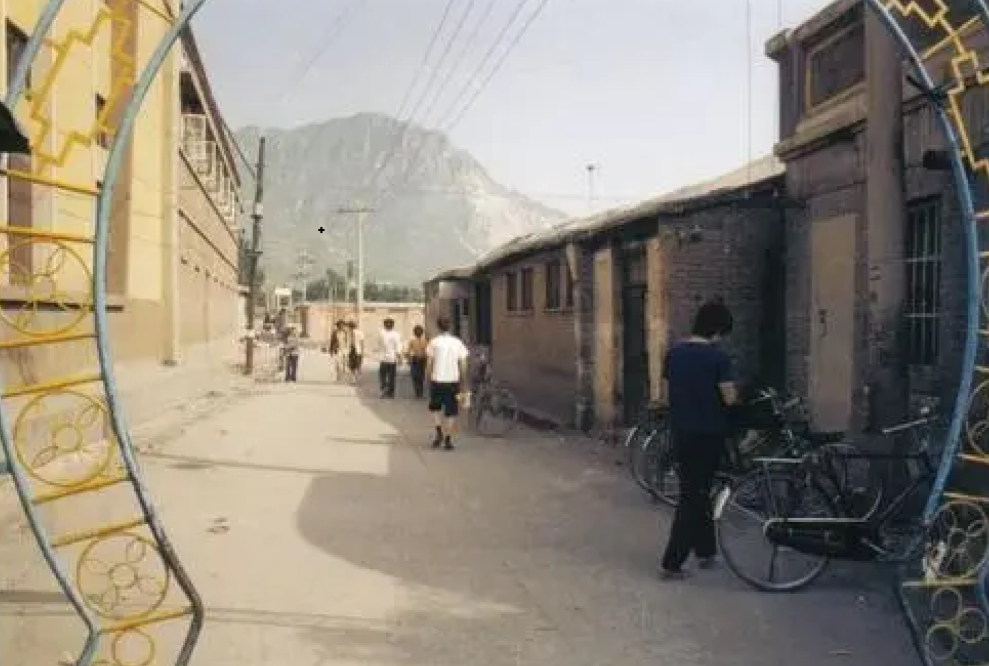 1963年，河北女会计携巨款神秘失踪，21年后从水泥地中挖出尸骨