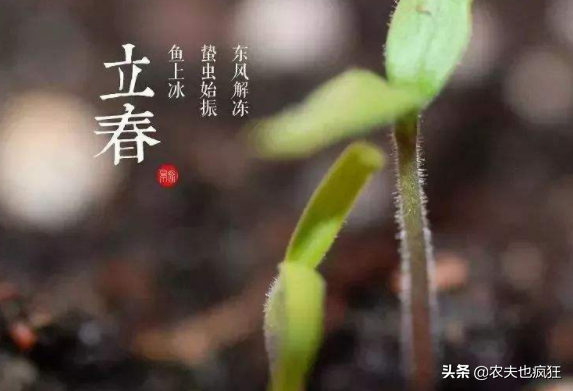 2月4日立春，俗语“立春下雨是反春”啥意思？立春下雨好不好呢？