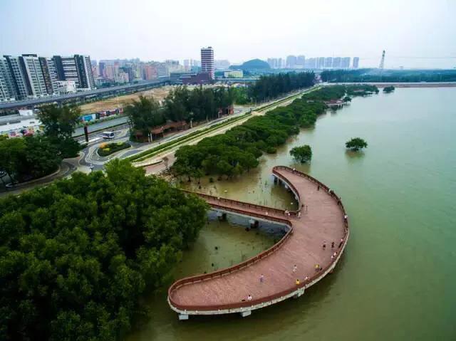 不要错过，深圳十大适合小朋友的免费又好玩的地方