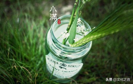 24节气 | 小满：梅子金黄杏子肥，麦花雪白菜花稀